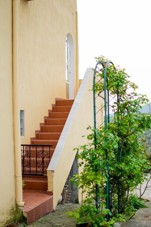 Big Summer House Halkidiki ซากูเดีย ภายนอก รูปภาพ